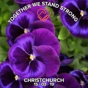 Meet your Posher, Ann